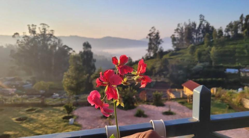 Orchard Valley View Ooty Dış mekan fotoğraf